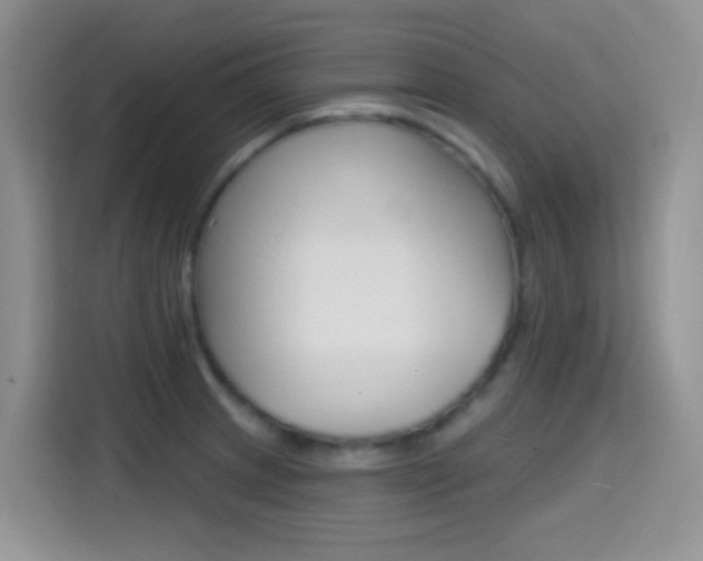 X0000114651233200910200954