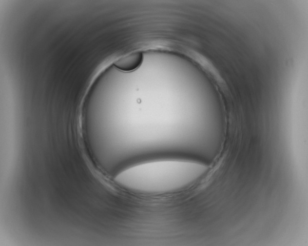 X0000114651234200910200954
