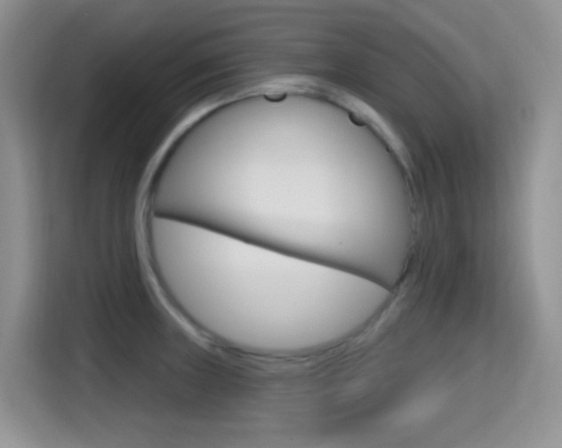 X0000114651235200910200954