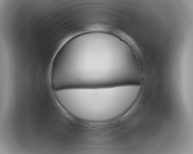 X0000114651236200910200954