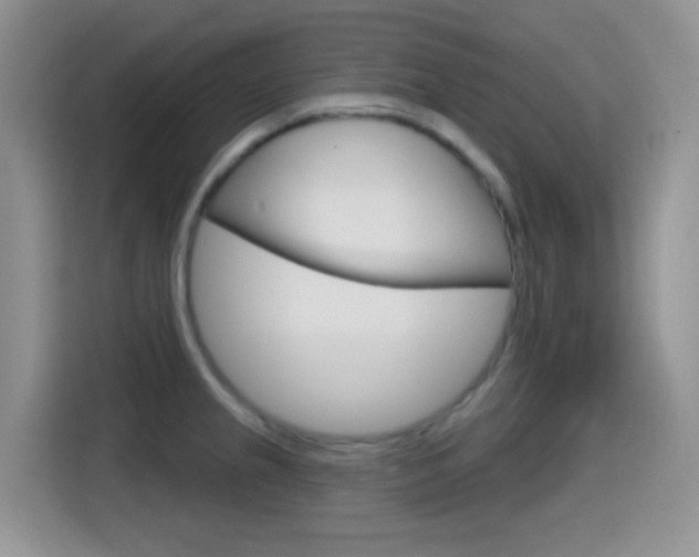 X0000114651237200910200954