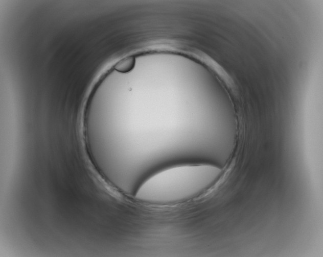 X0000114651240200910200954