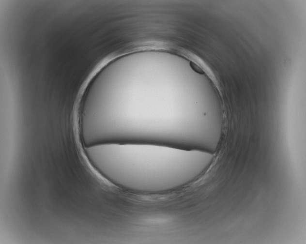 X0000114651243200910200954