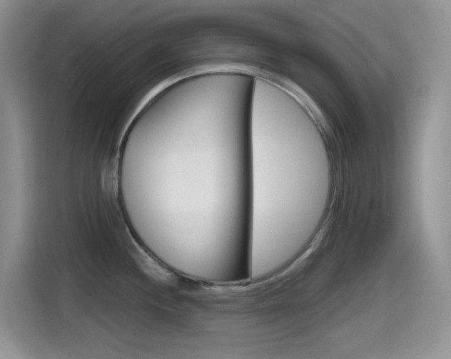 X0000114651244200910200954