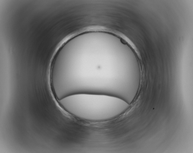 X0000114651245200910200954