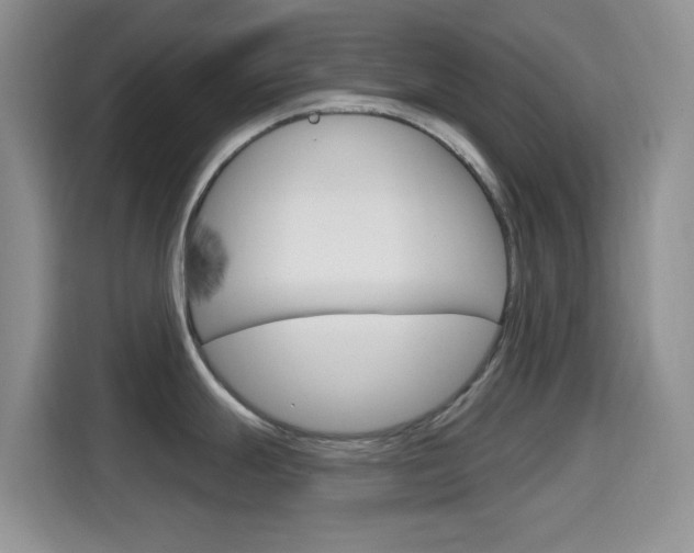 X0000114651247200910200954