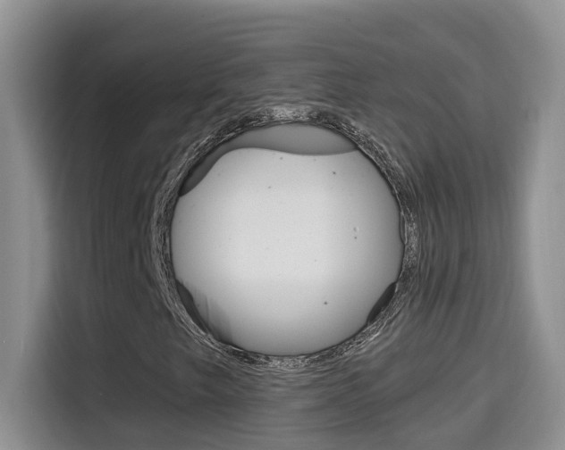 X0000114651249200910200954