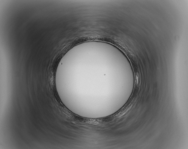X0000114651251200910200954