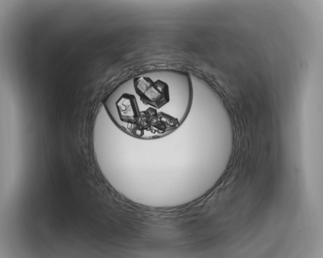 X0000114651253200910200954