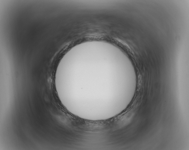 X0000114651254200910200954