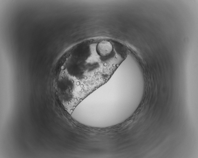 X0000114651255200910200954