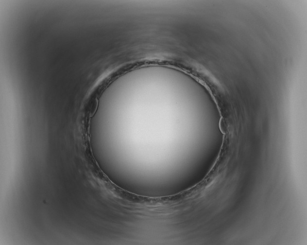 X0000114651256200910200954