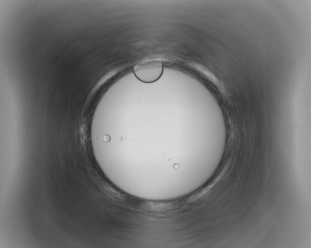 X0000114651258200910200954