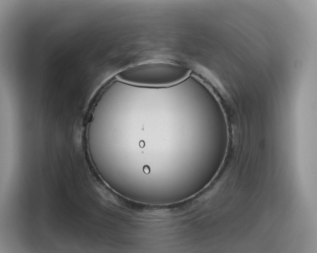 X0000114651260200910200954