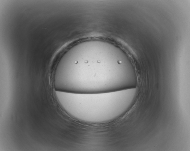 X0000114651262200910200954