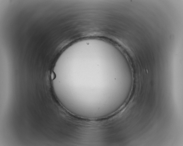 X0000114651265200910200953