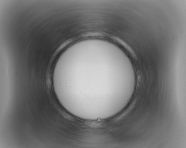 X0000114651266200910200953