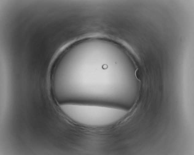 X0000114651270200910200953
