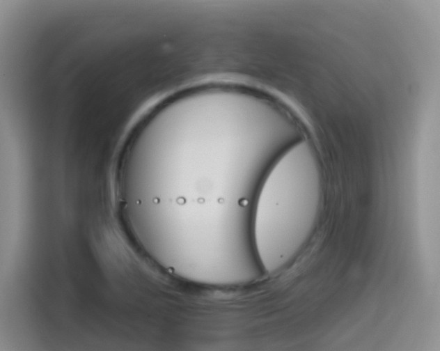 X0000114651271200910200953