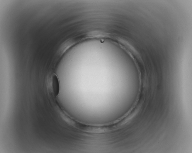 X0000114651273200910200953