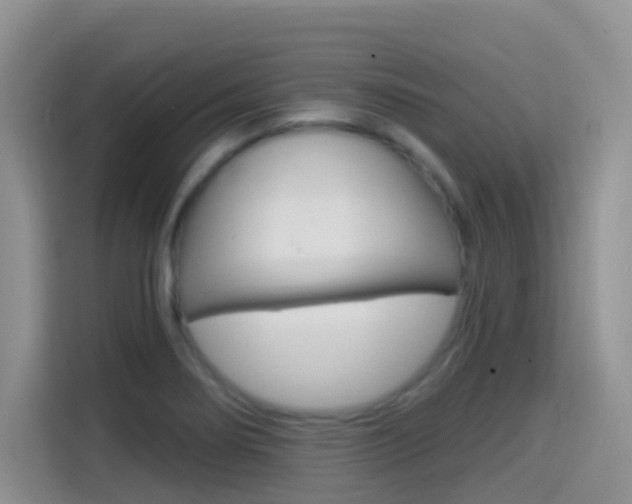 X0000114651274200910200953