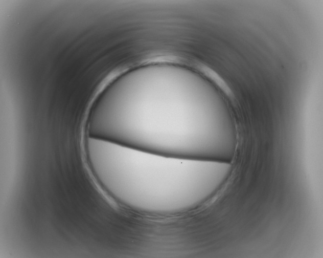X0000114651282200910200953