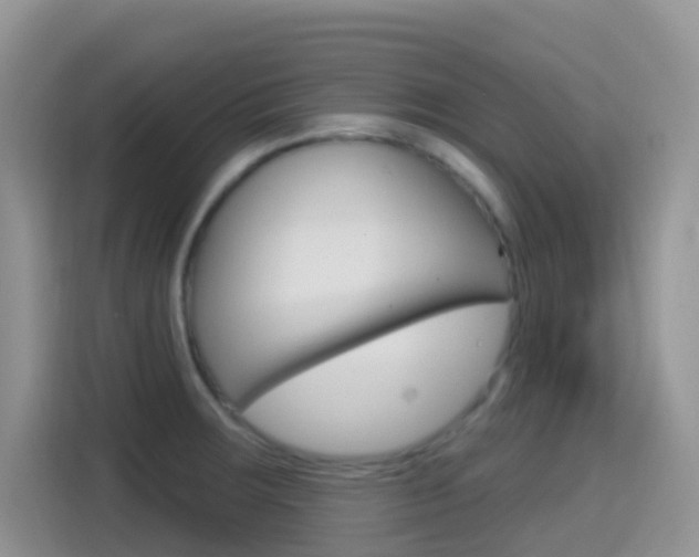X0000114651283200910200953