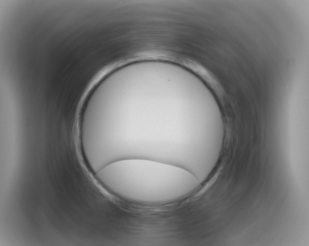 X0000114651286200910200953
