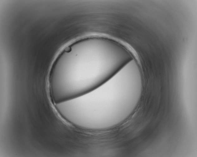 X0000114651287200910200953