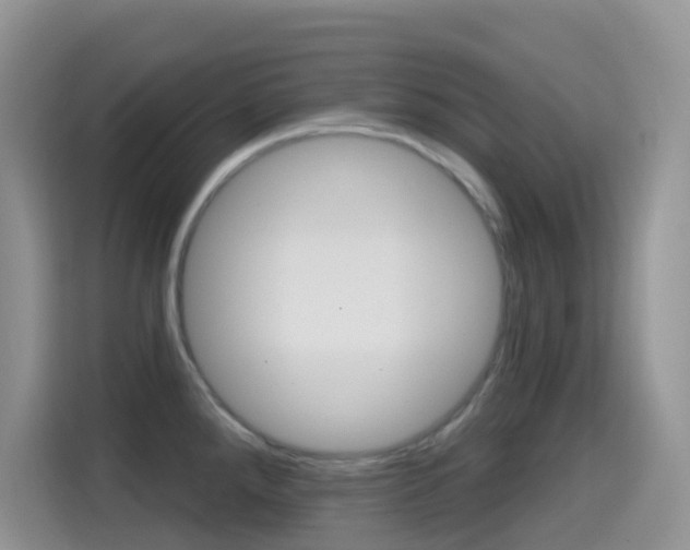 X0000114651288200910200953