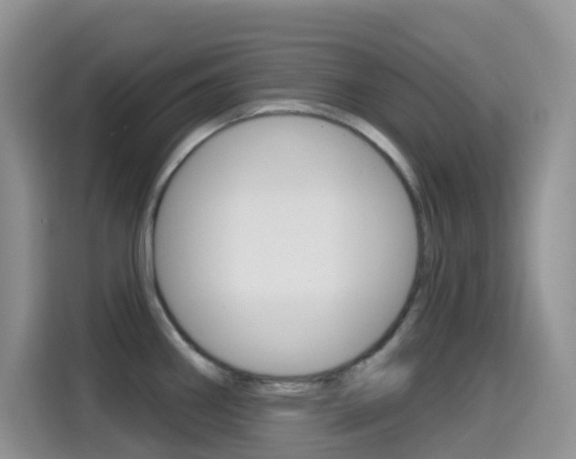 X0000114651290200910200953