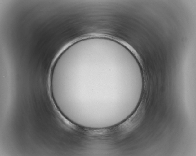 X0000114651294200910200953