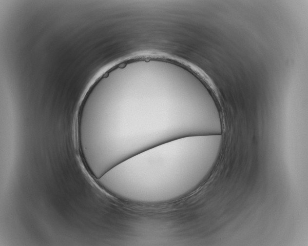X0000114651295200910200953