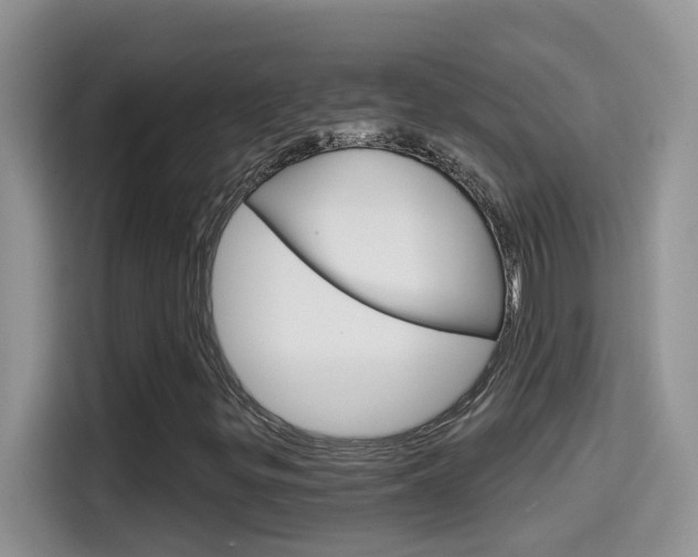 X0000114651299200910200952