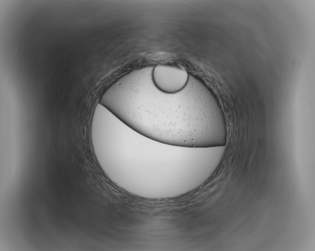 X0000114651301200910200952