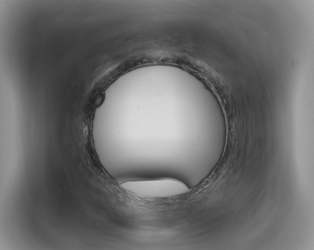 X0000114651302200910200953