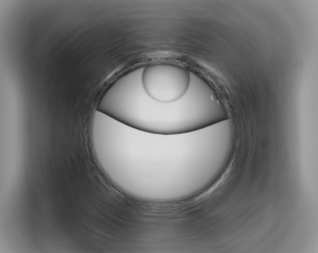 X0000114651305200910200953