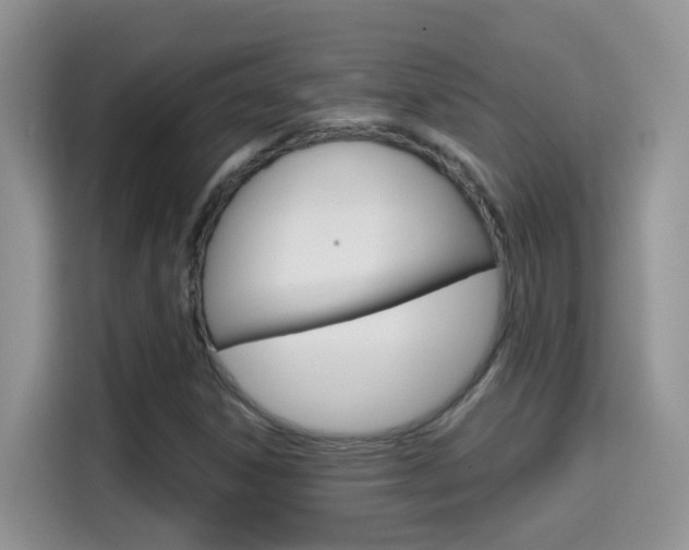 X0000114651306200910200953