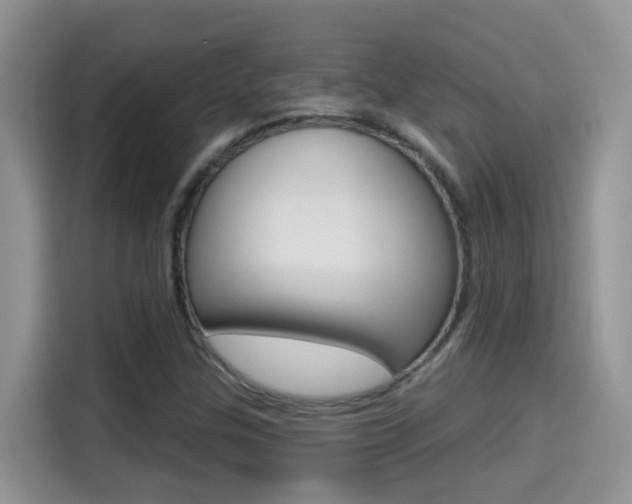 X0000114651307200910200953