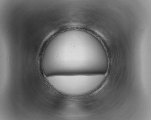 X0000114651309200910200953