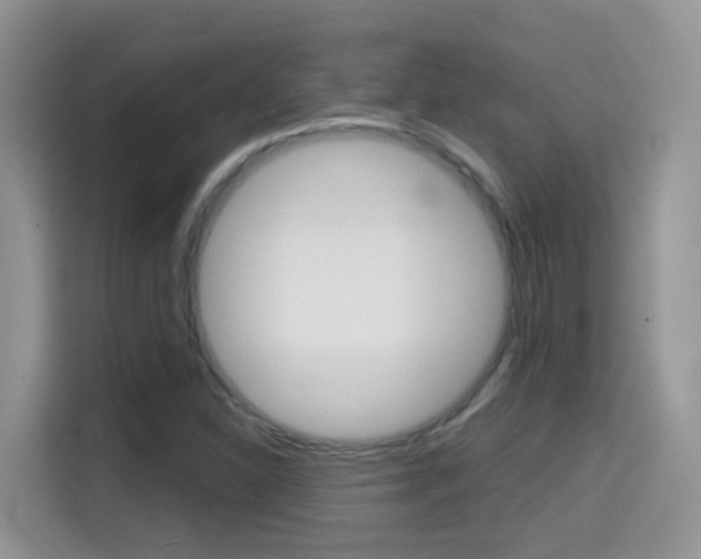 X0000114651310200910200953