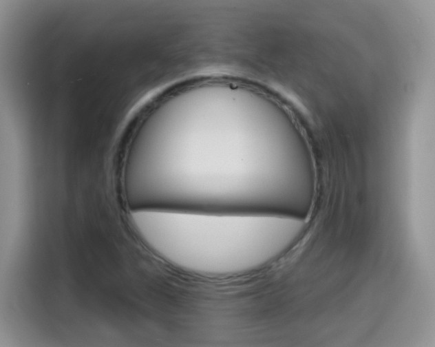 X0000114651311200910200953
