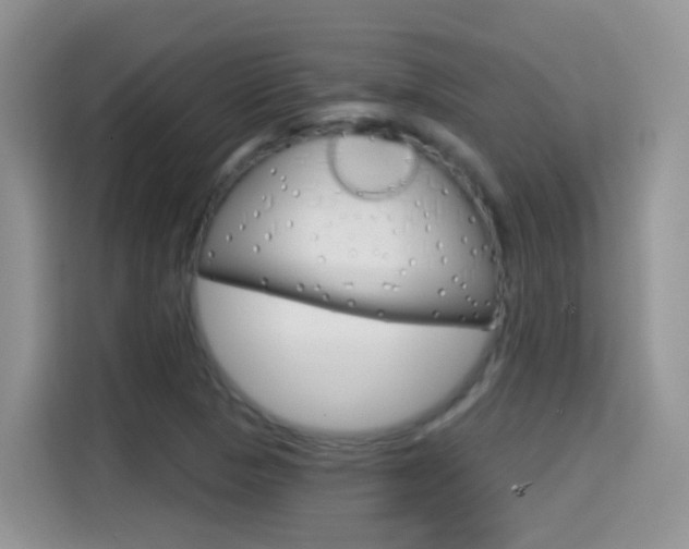 X0000114651313200910200953