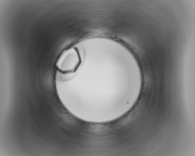 X0000114651314200910200953