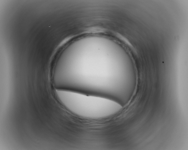 X0000114651315200910200953