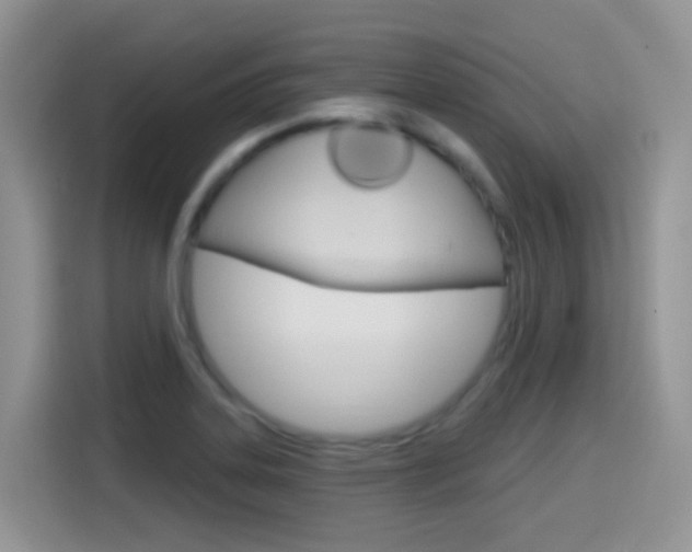 X0000114651323200910200953