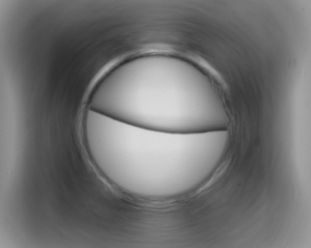 X0000114651325200910200953
