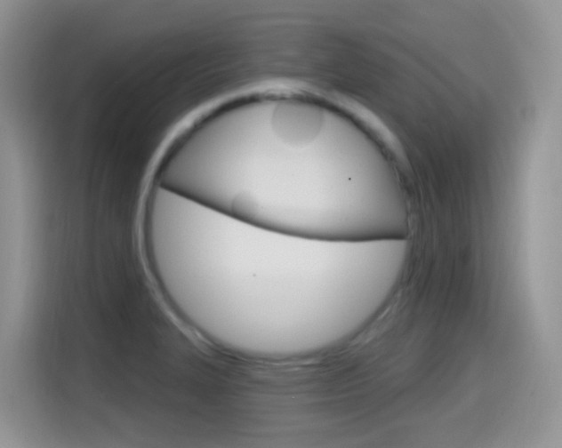 X0000114651327200910200953