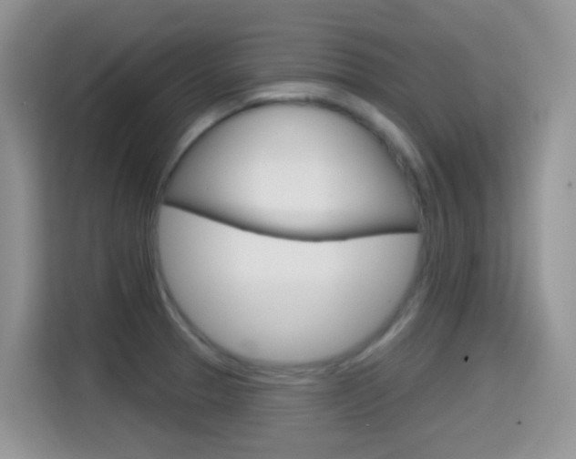 X0000114651329200910200953