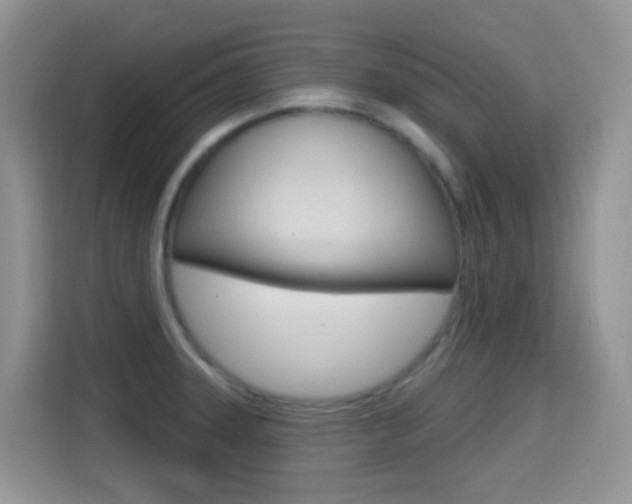 X0000114651331200910200953